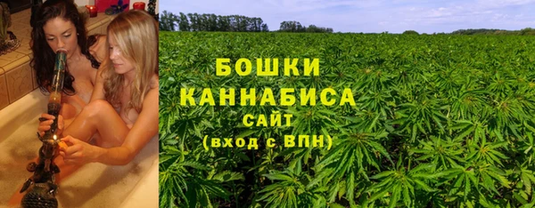 шишки Балахна